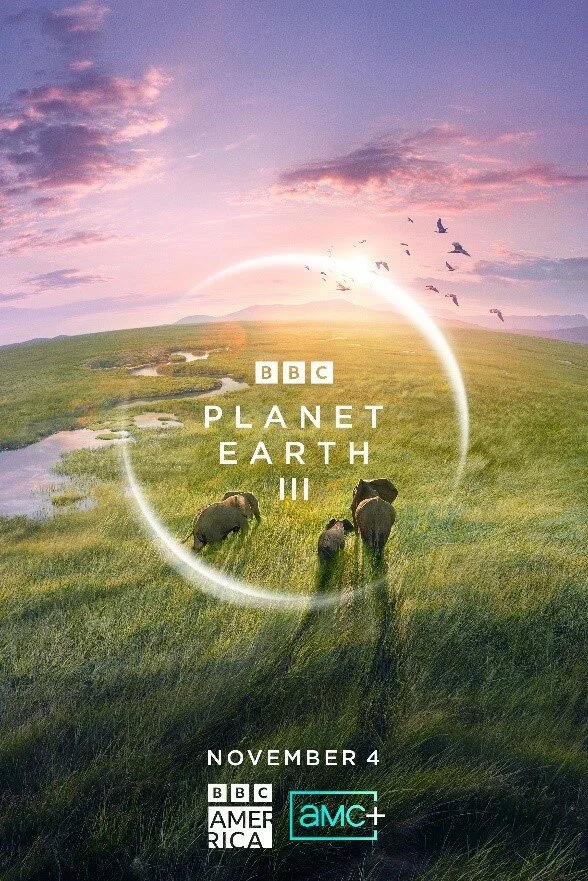 BBC: Планета Земля III 2023 смотреть онлайн бесплатно